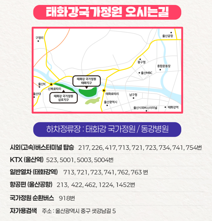 태화강 국가정원 봄꽃축제 주차 팁과 교통 정보