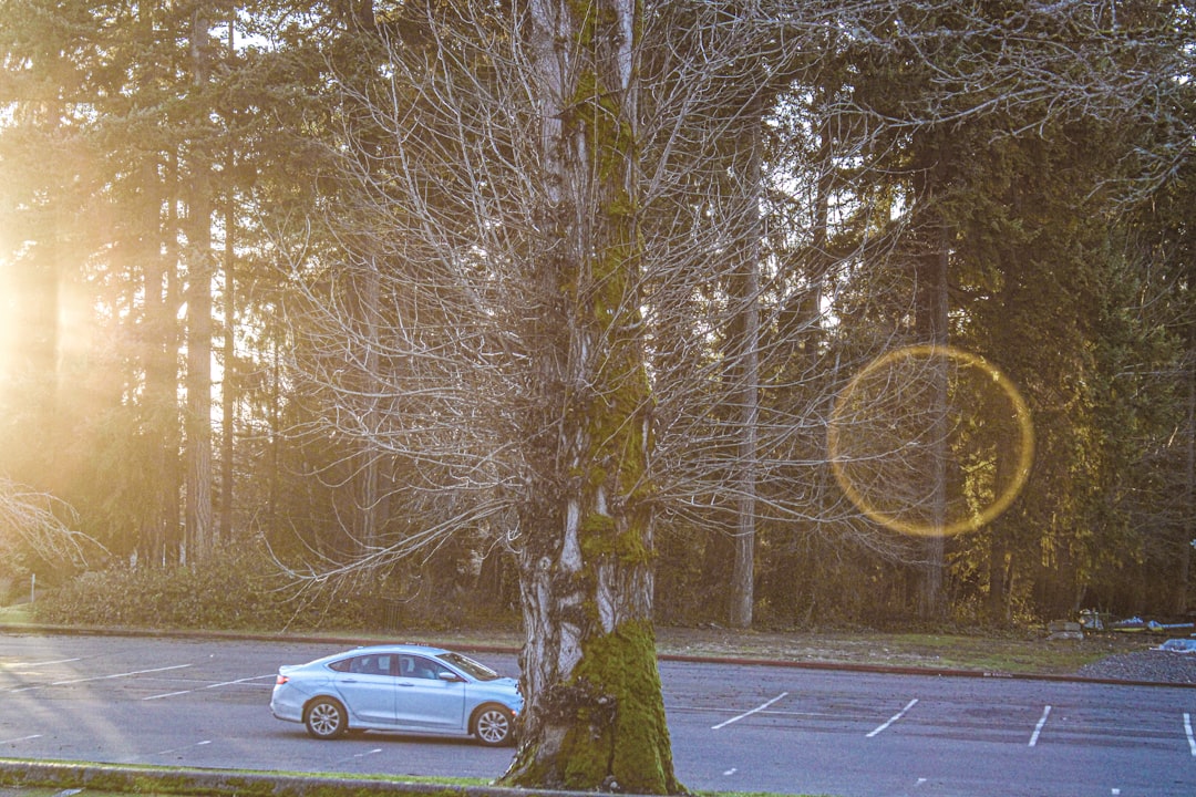 Kirkland