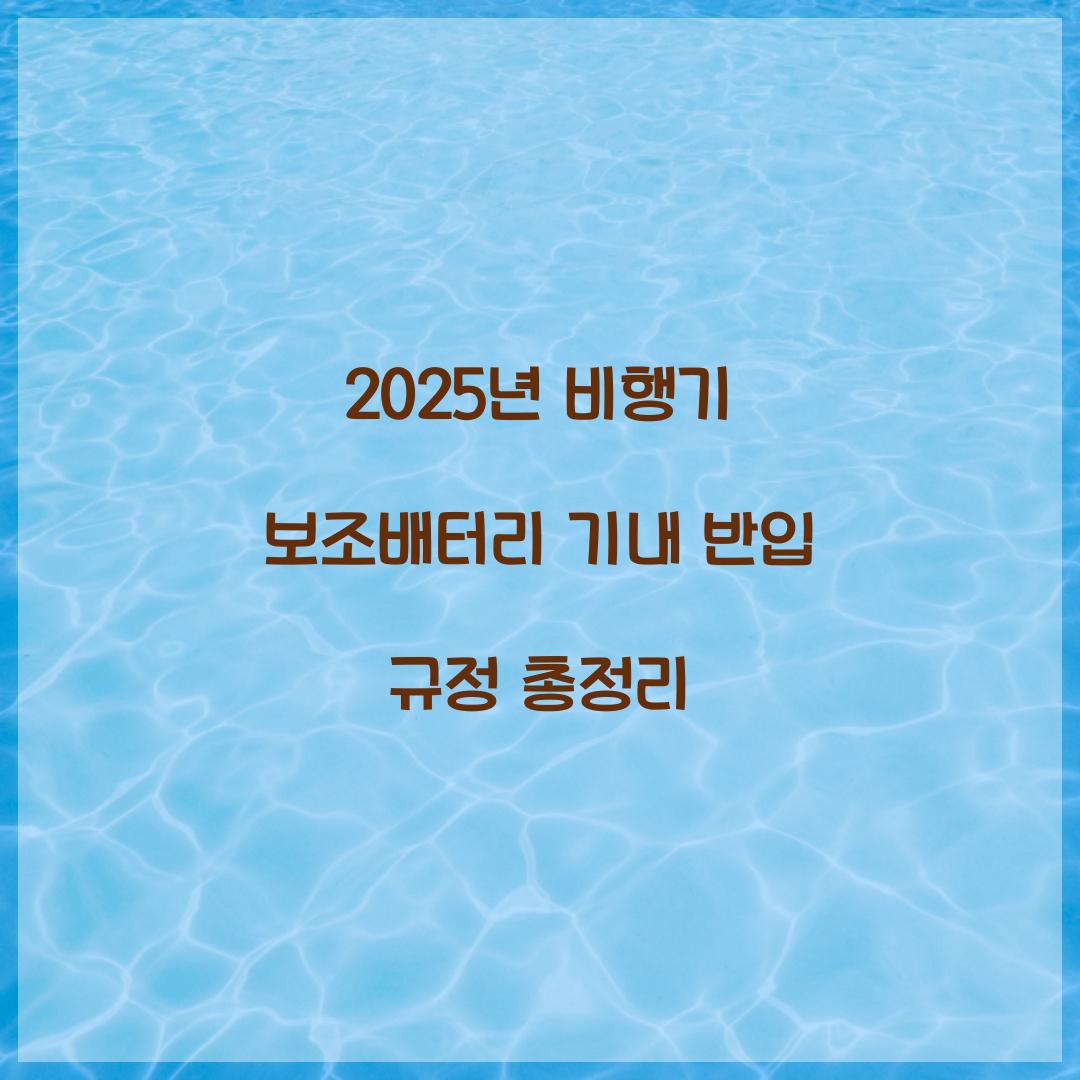 비행기 보조배터리