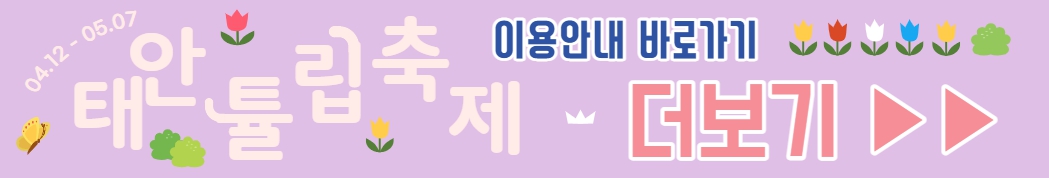 태안 튤립축제