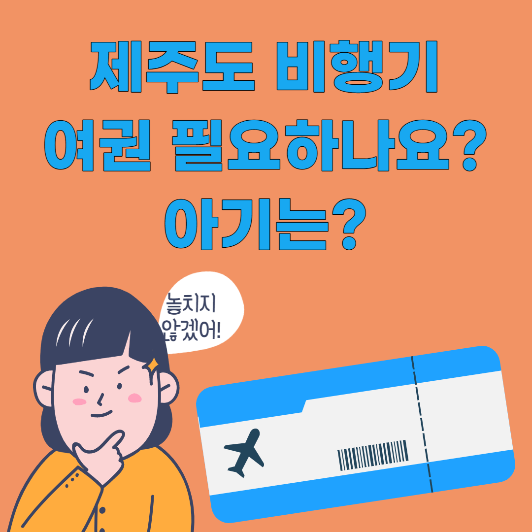 제주도 비행기 여권