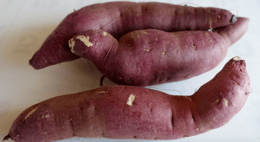 눈 건강에 좋은 음식 고구마