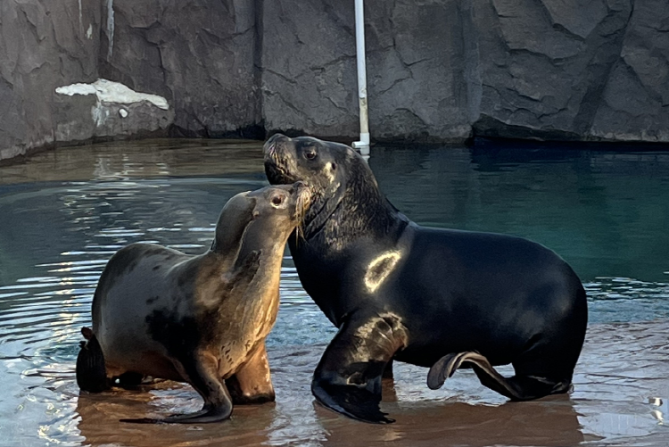 사천 아쿠아리움