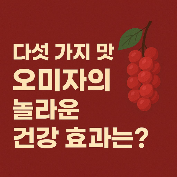 오미자 효능