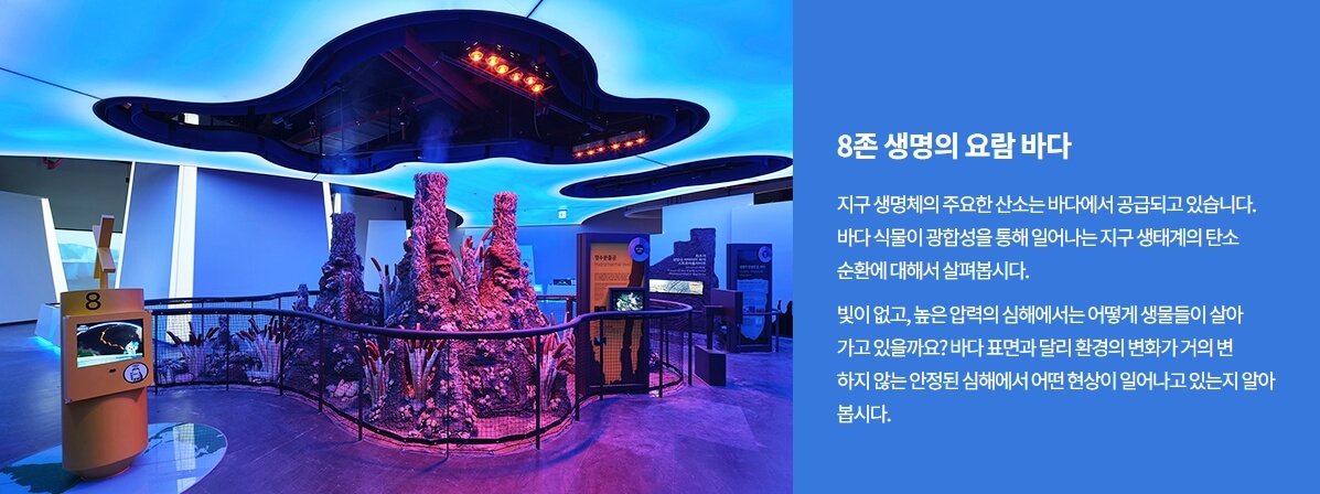 8존