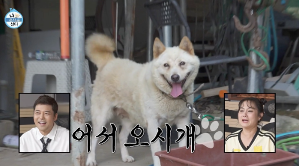 박지현 가수 나 혼자 산다 박지현 고향 목포