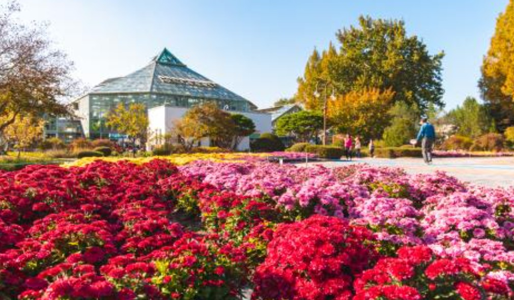 어린이날 전국 꽃 나들이 추천