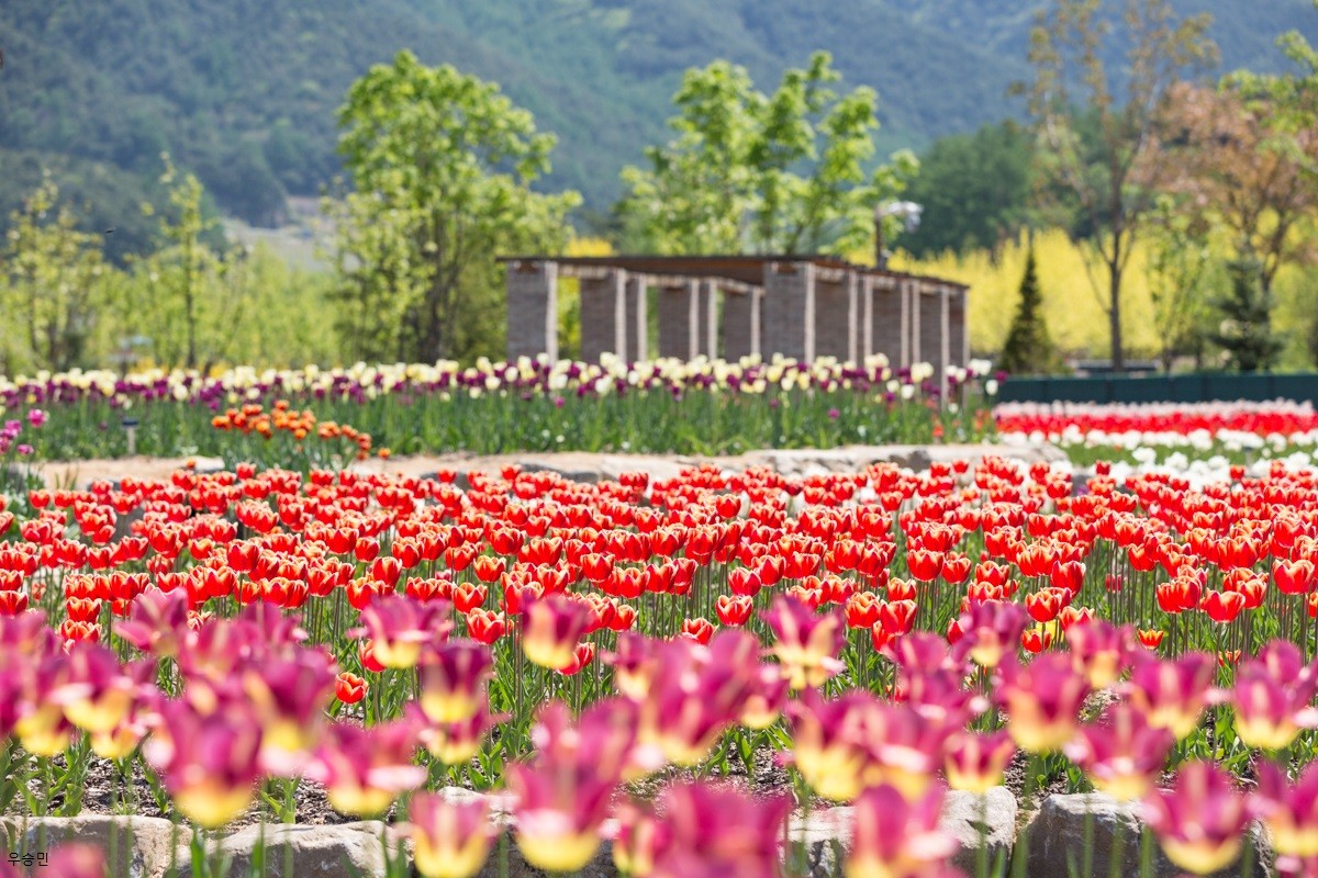국립백두대간수목원