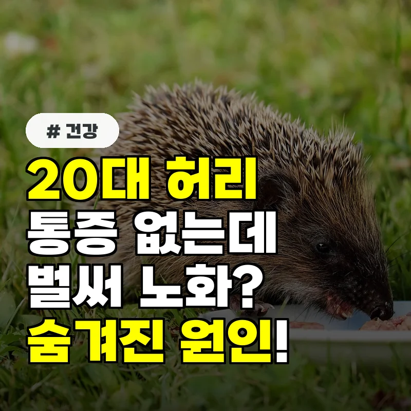 허리 통증 없는데 벌써 노화 20대부터 망가지는 척추의 숨겨진 원인