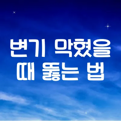 변기 막혔을 때