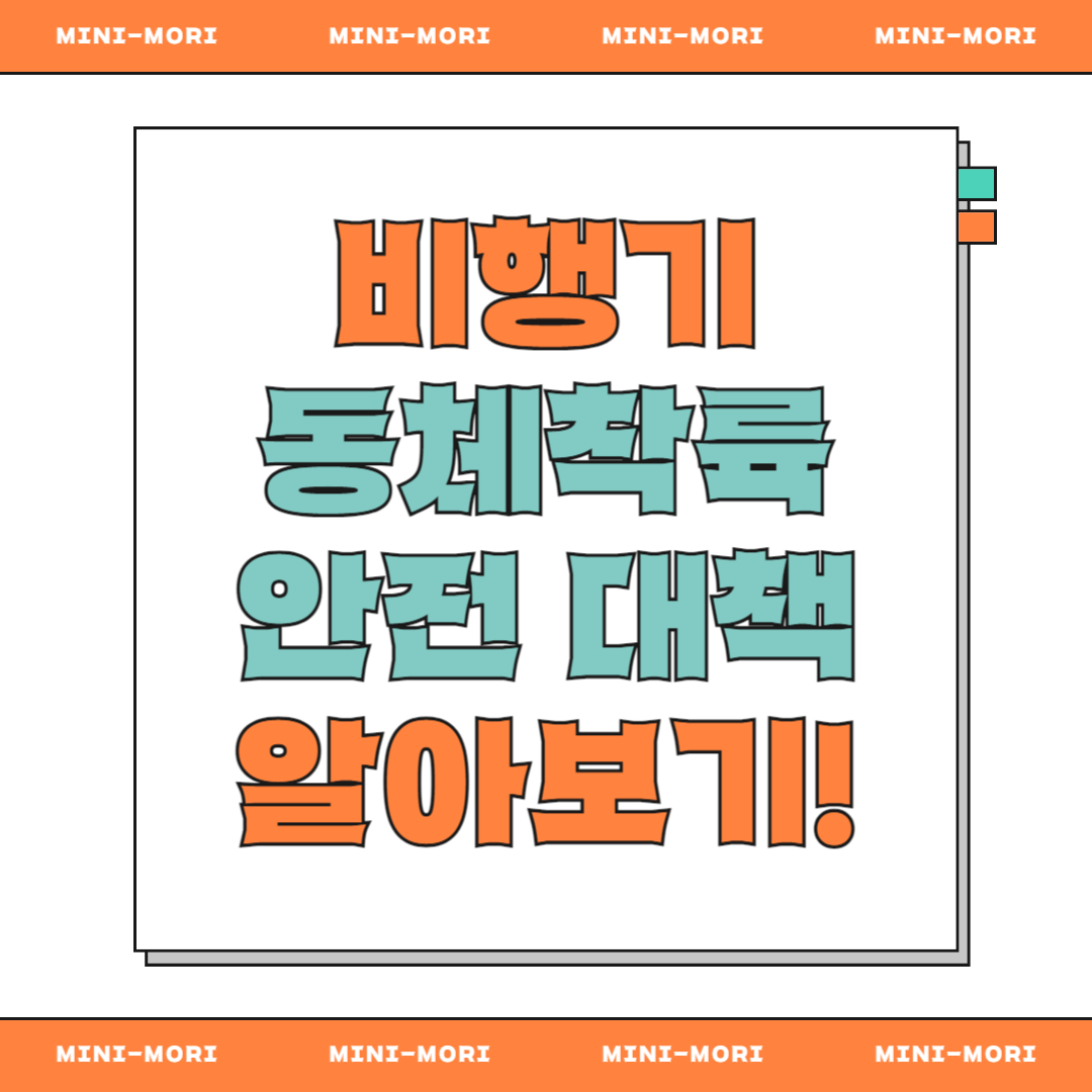 '비행기 동체착륙