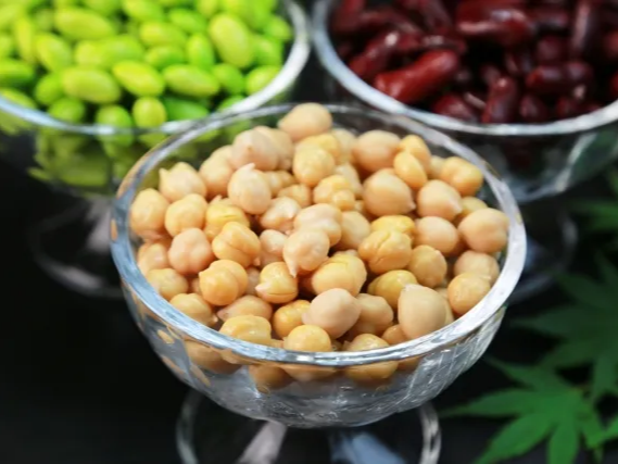 병아리콩 항산화 성분