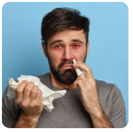 비염 스프레이 비염 치료제