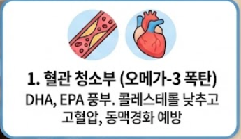 과메기 맛있게 먹는법