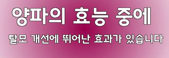  양파의 효능 중에 탈모 개선에 뛰어난 효과가 있습니다