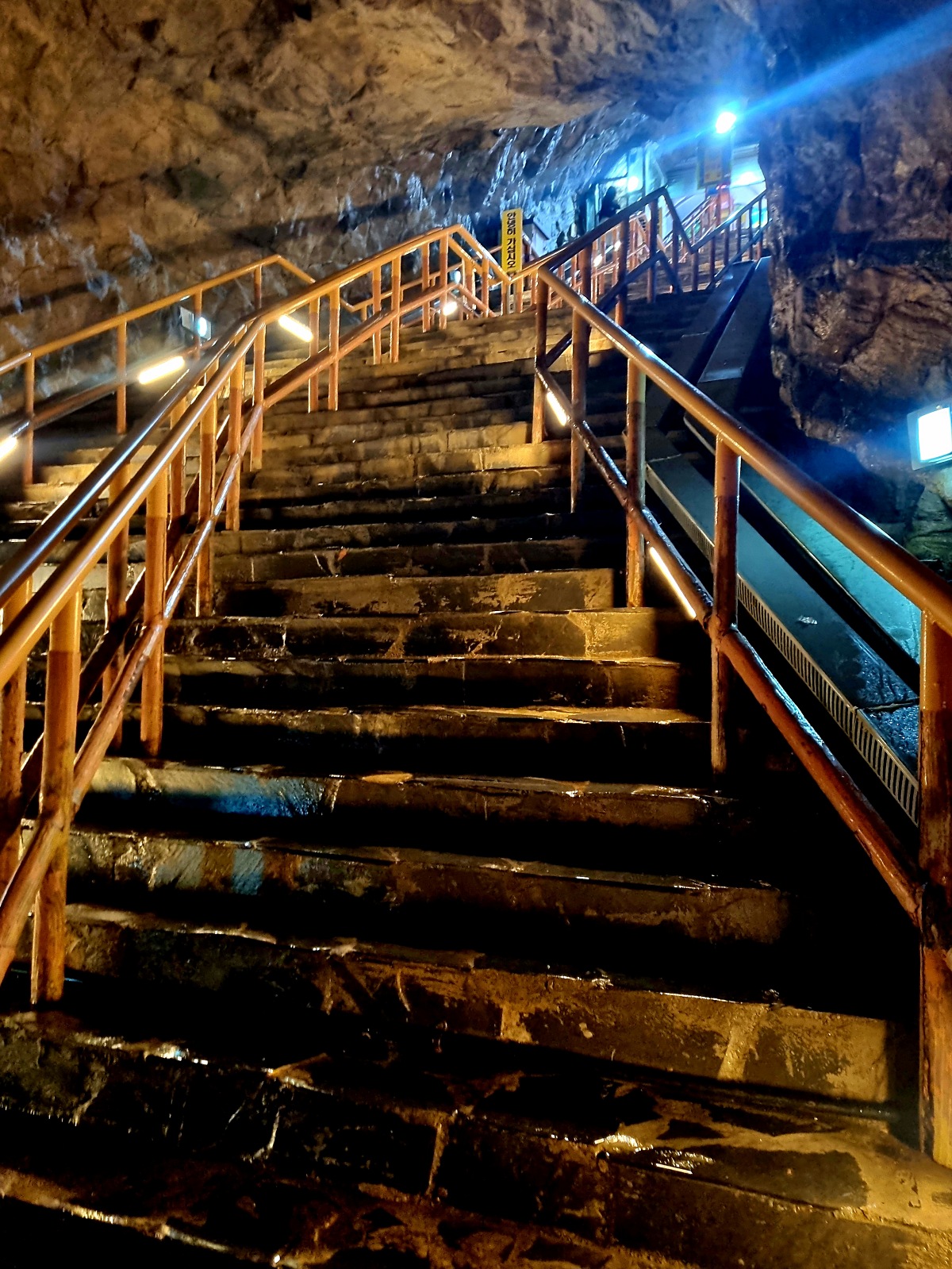 동해 가볼만한곳 천곡황금박쥐동굴 후기 비 오는 날 좋은 실내 여행지