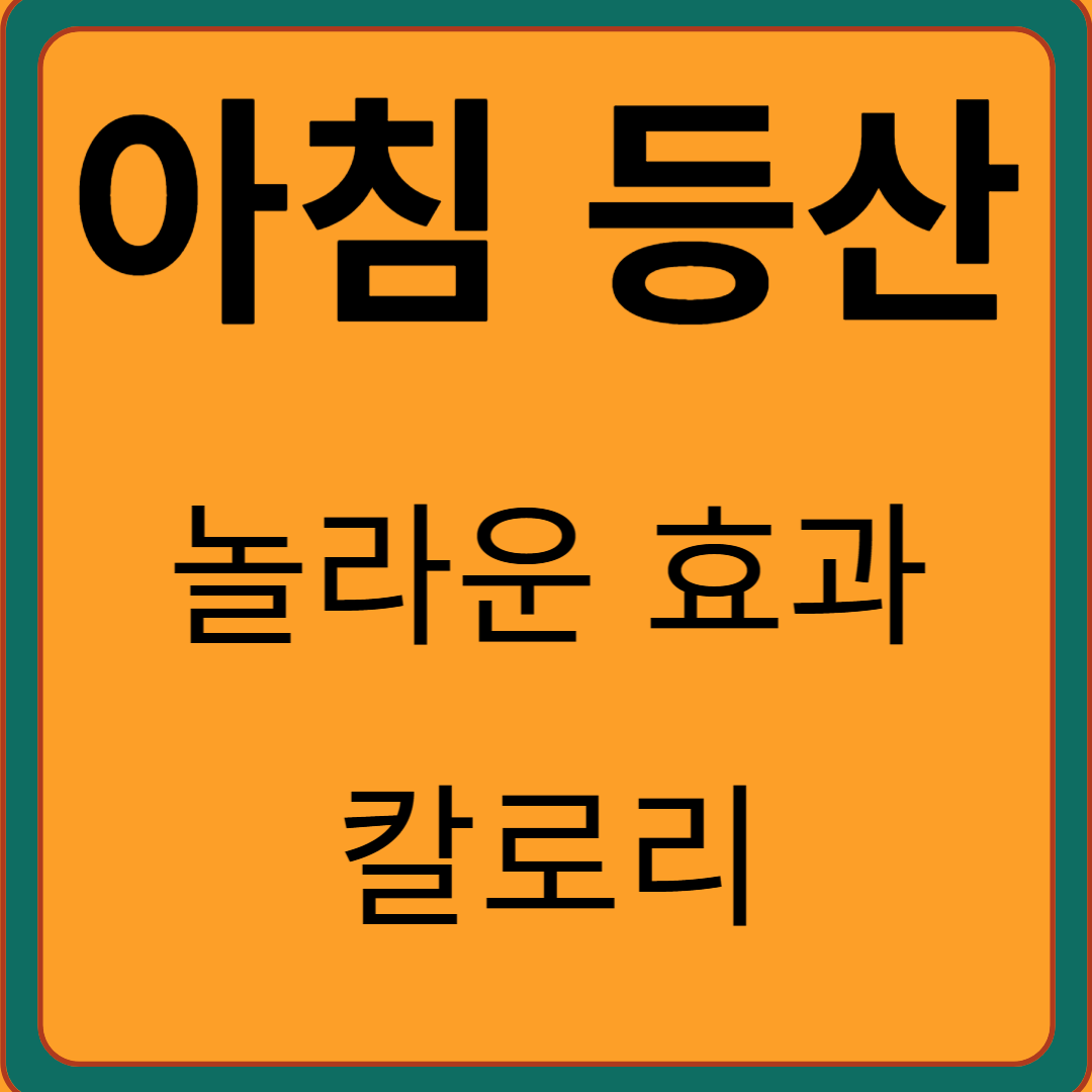 아침 등산의 놀라운 효과, 왜 시작해야 할까