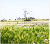 가파도 청보리 축제(2025) 배 시간표 & 주차 완벽가이드 관련 사진