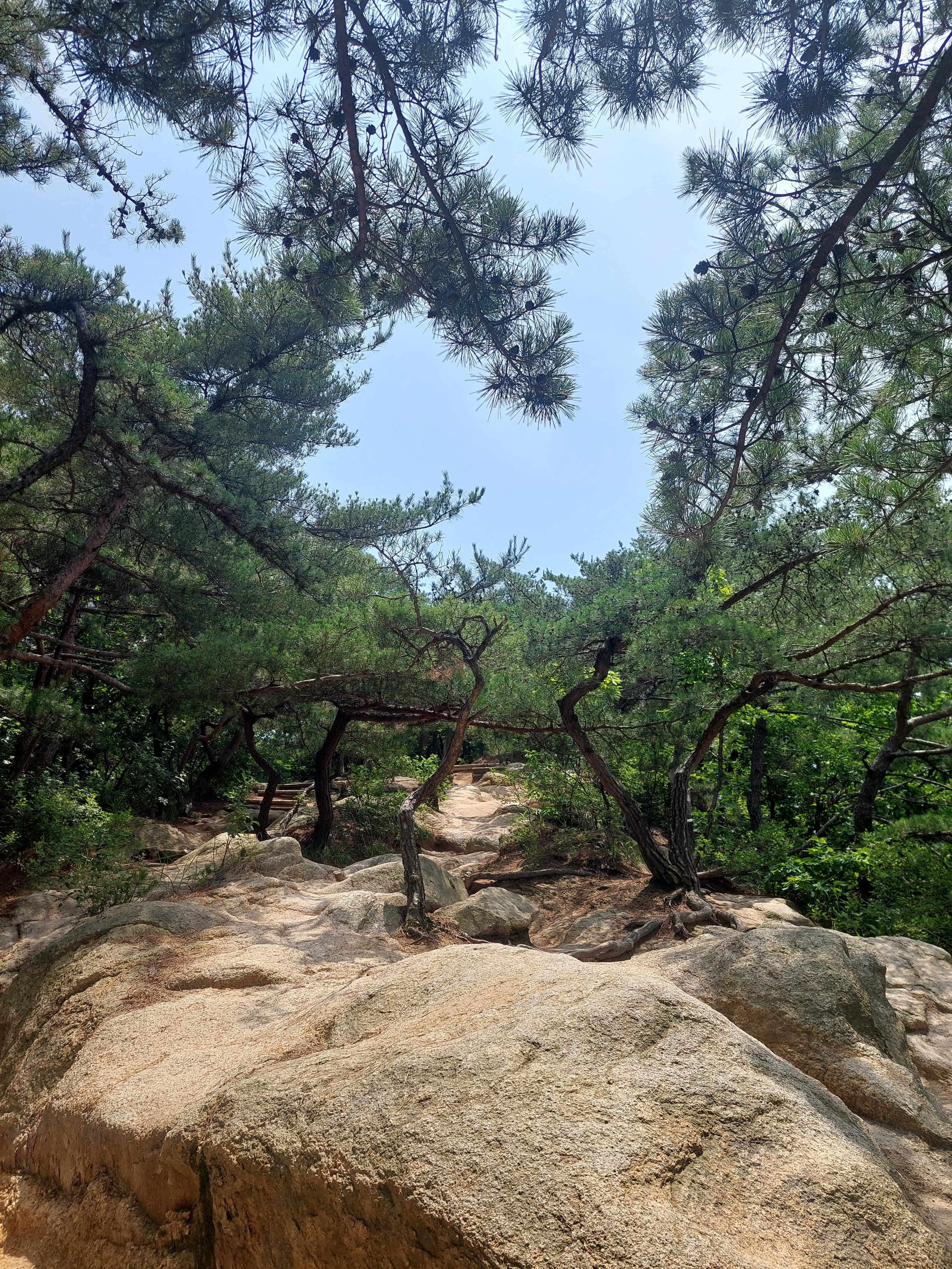 용마산아차산