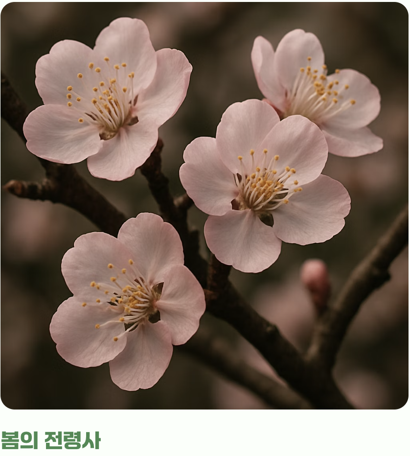 꽃구경과 열매&amp;#44; 두 가지 즐거움