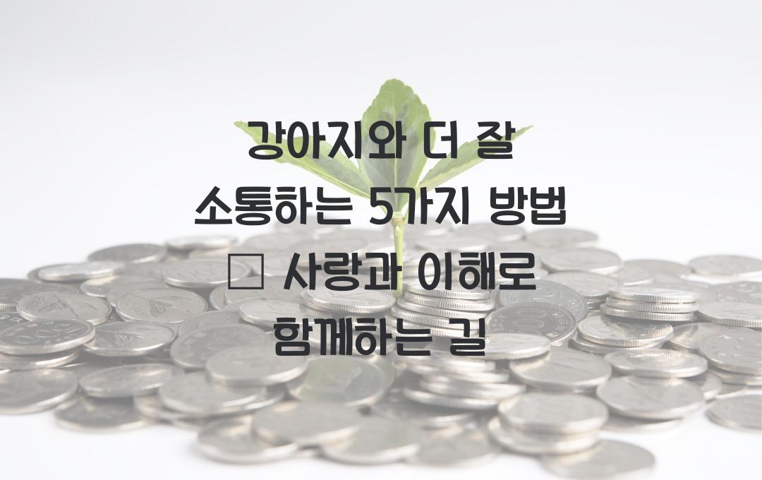강아지와 더 잘 소통하는 5가지 방법