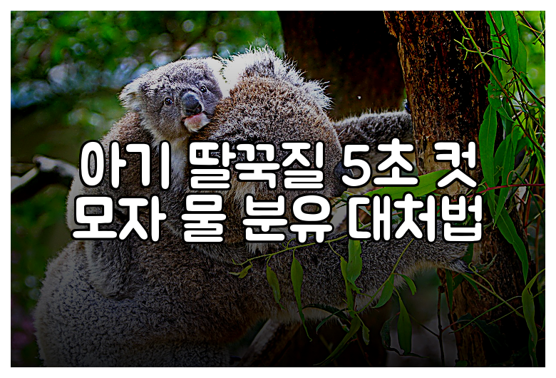 아기 딸꾹질 5초 컷 모자 물 분유 대처법