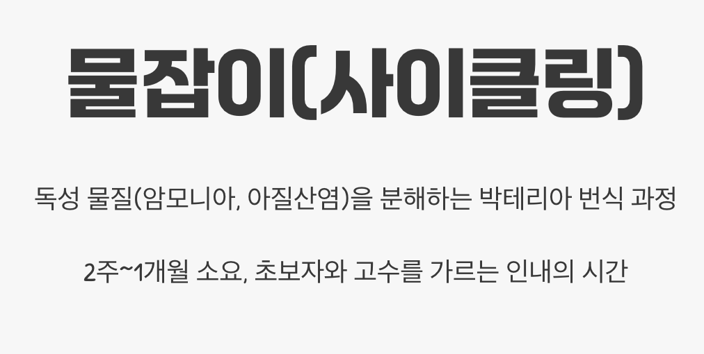 가장 중요한 마지막 단계, 기다림