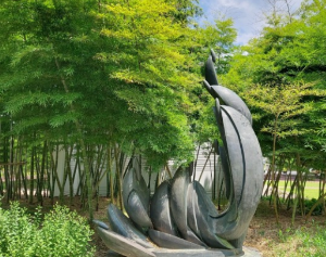 6월 전국 등나무꽃 명소 TOP 5