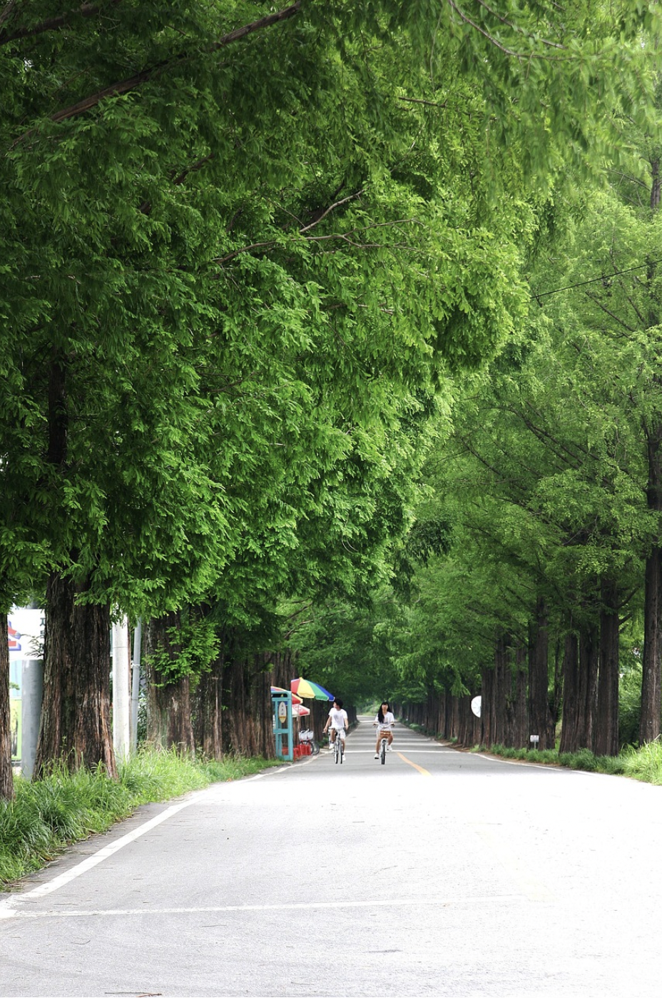 봄인데 사람은 없네? 5월 비수기 국내 여행지 Top 3