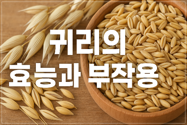 귀리의 효능과 부작용