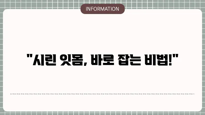 잇몸 건강 강화에 대한 설명