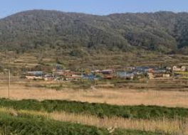 청산도 운항요금