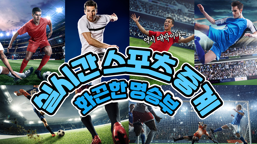 스포츠중계