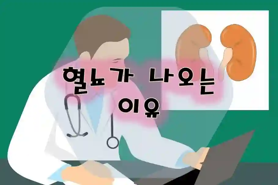 혈뇨가 나오는 이유