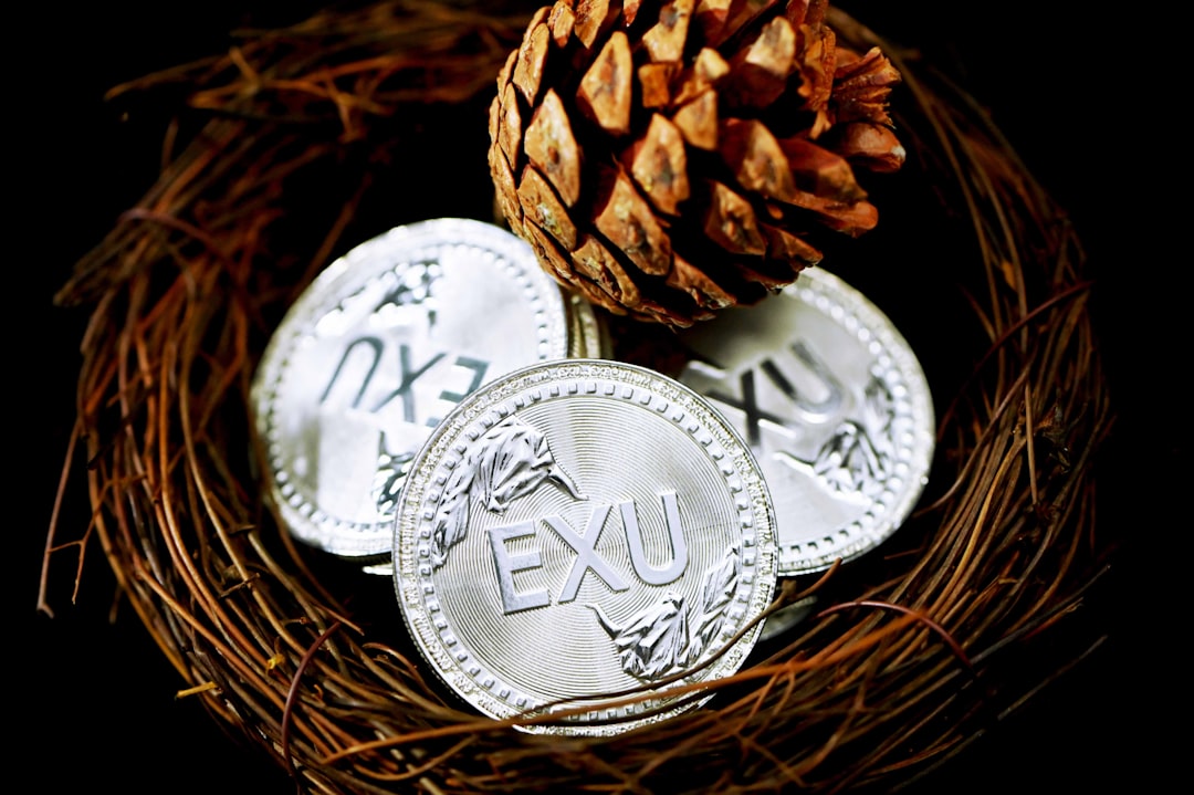 EITC (Earned Income Tax Credit)