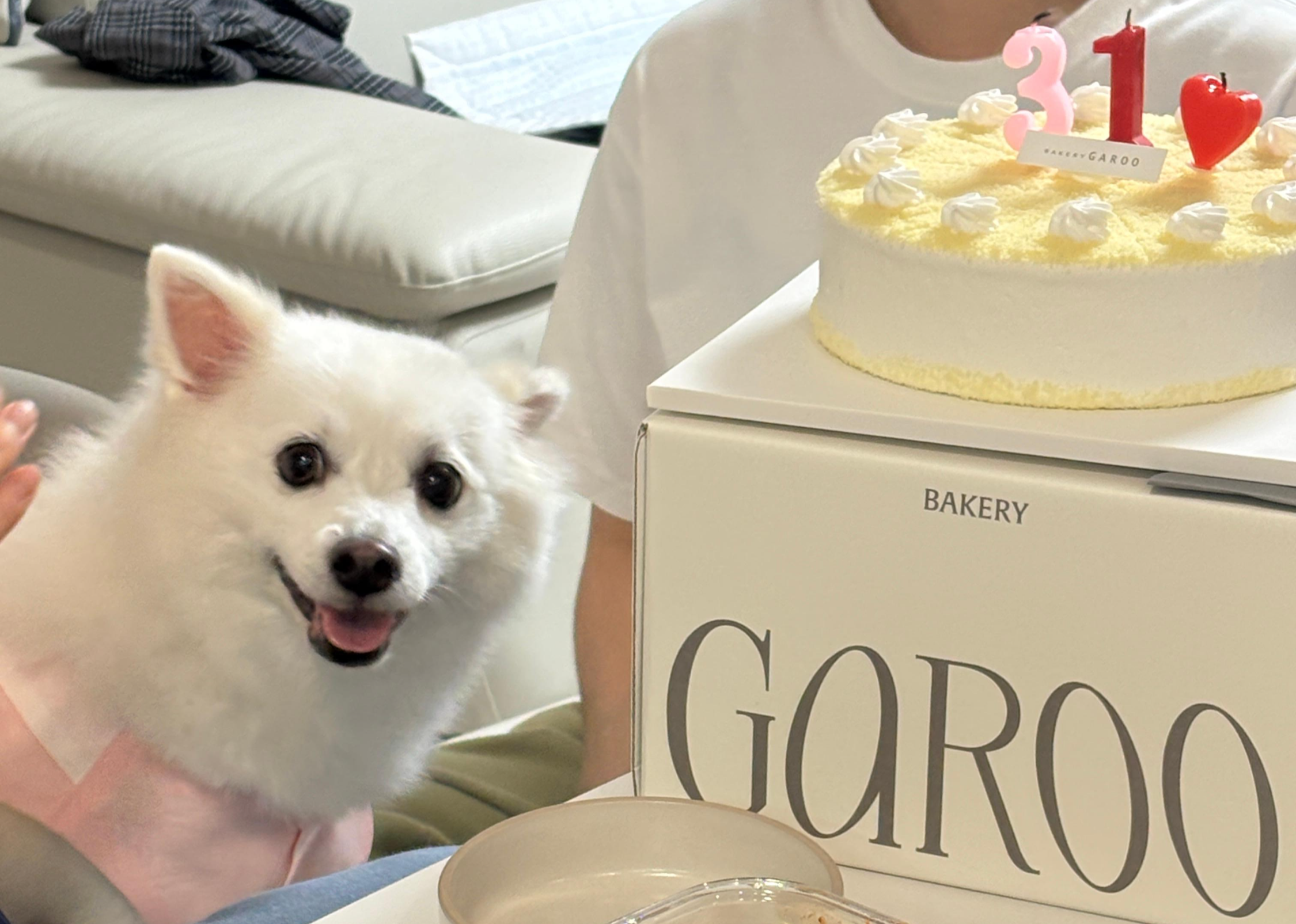생일 케이크