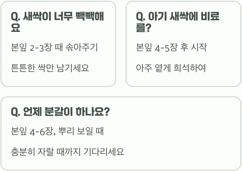 꽃씨앗 파종부터 싹틔우기까지, 실패 없는 완벽 가이드 A to Z