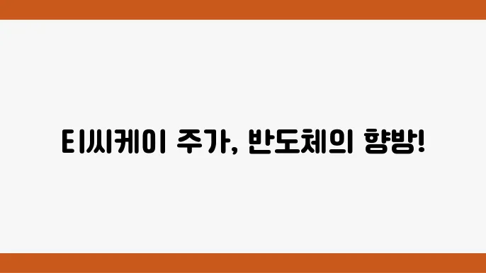 티씨케이 재무 분석