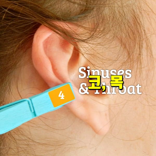 귀 지압점,피로에 좋은 지압법,팁줌