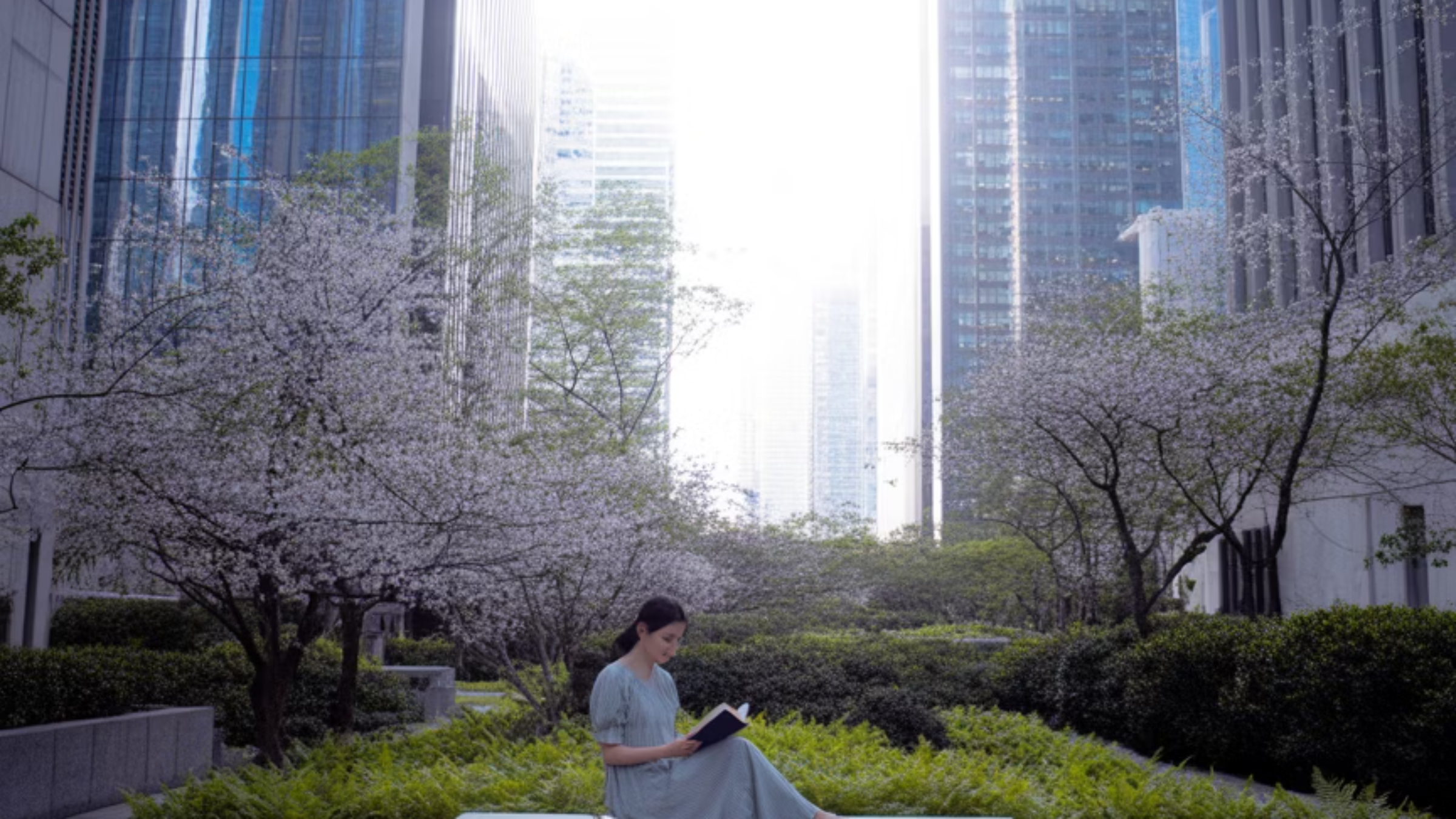 도심 속 감성 공간