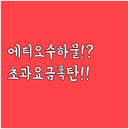 에티오피아항공 수하물 규정과 초과 요..