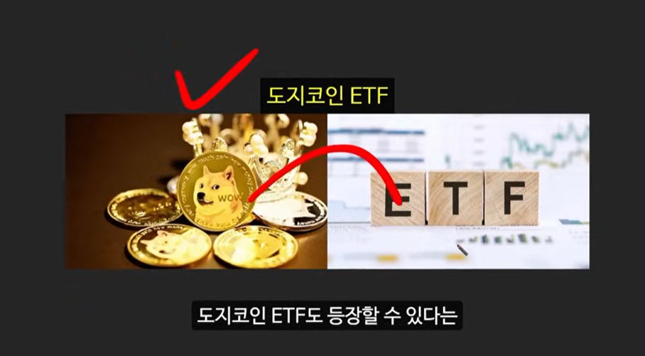 일론 머스크가 주목한 베이비 도지 코인, 급등 가능성은?