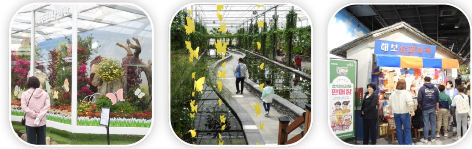 [4월 축제]2025 함평나비대축제｜일정, 기간, 입장권 예매 할인, 입장권 예약 이벤트, 공연, 체험프로그램 총정리