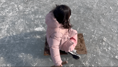 깅원 홍천 홍천강 꽁꽁 축제 - 전통 썰매 타는 영상