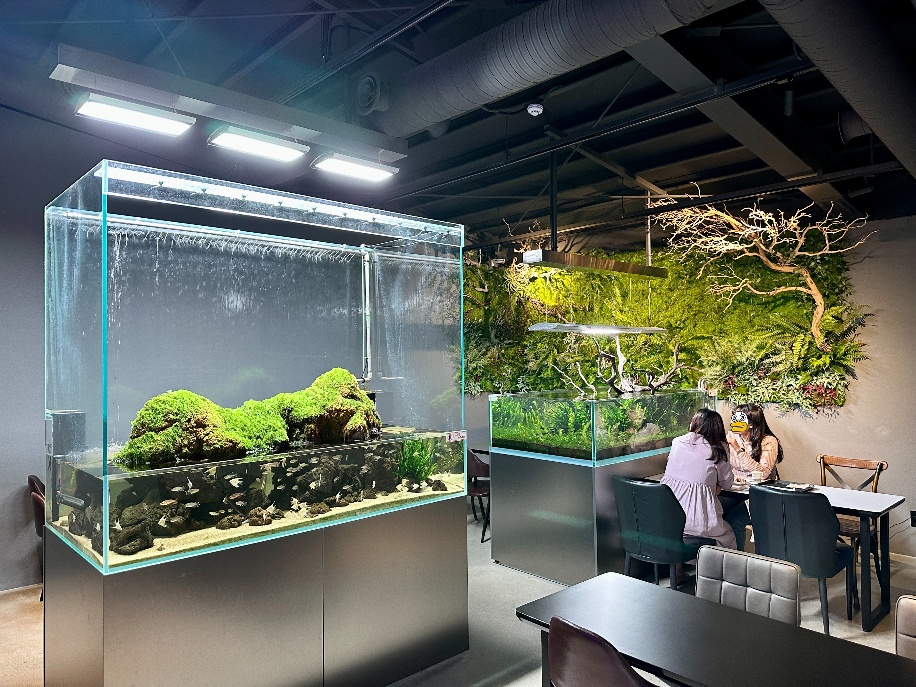 춘천 카페리움 수족관