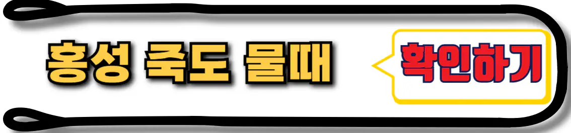 홍성 죽도 물때