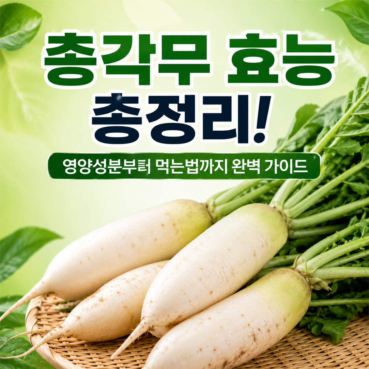 총각무 효능