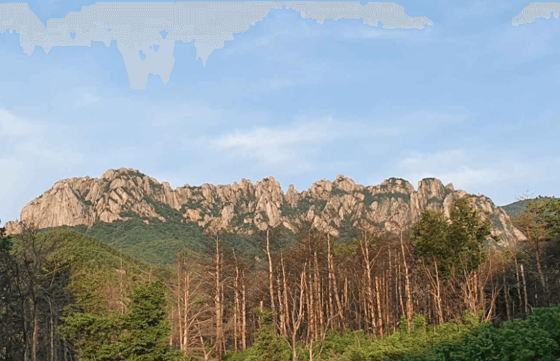 설연휴 가족여행 설연휴 국내 여행지 설연휴 해외여행 설날 가볼만한 곳 설날 연휴 ...도로 통행료 국내 가족여행 추천 설 숙박 쿠폰 설날 연휴 국내여행 평창 발왕산 케이블카 설연휴 제주 여행 설연휴 서울 여행 설 여행 추천 설명절 여행 설명절 국내여행 설연휴 당일 여행