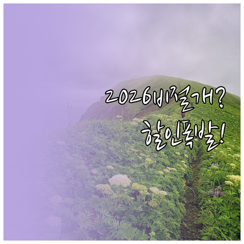 2026년 최신 비절개 모발이식 가격..