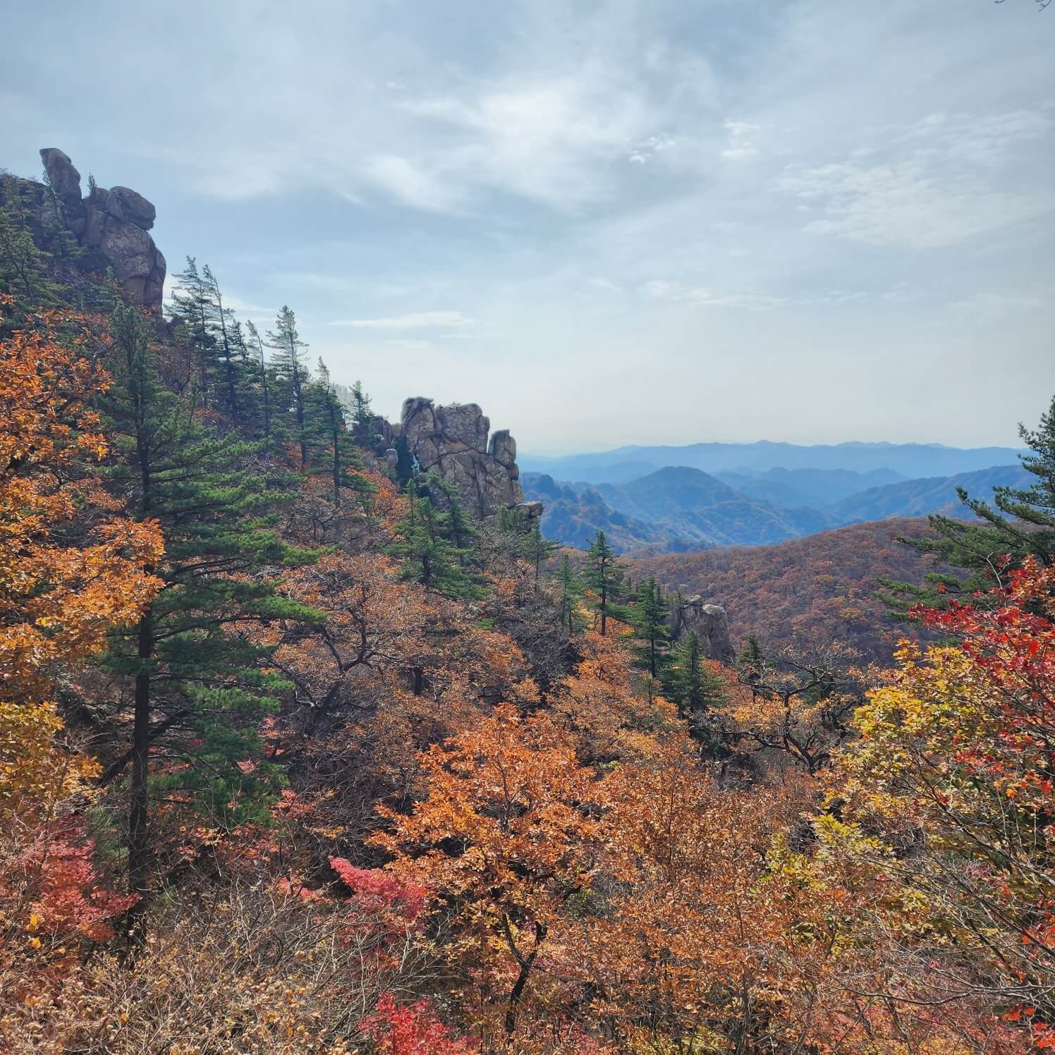 2024 설악산 단풍축제: 가을의 아름다움을 만끽하는 방법 🍂